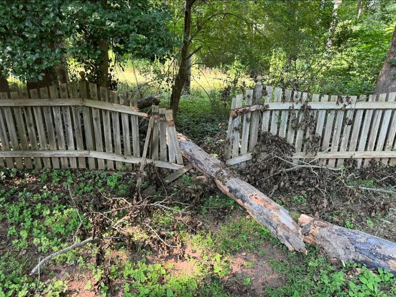 Your Homeowner's Insurance Usually Covers It First