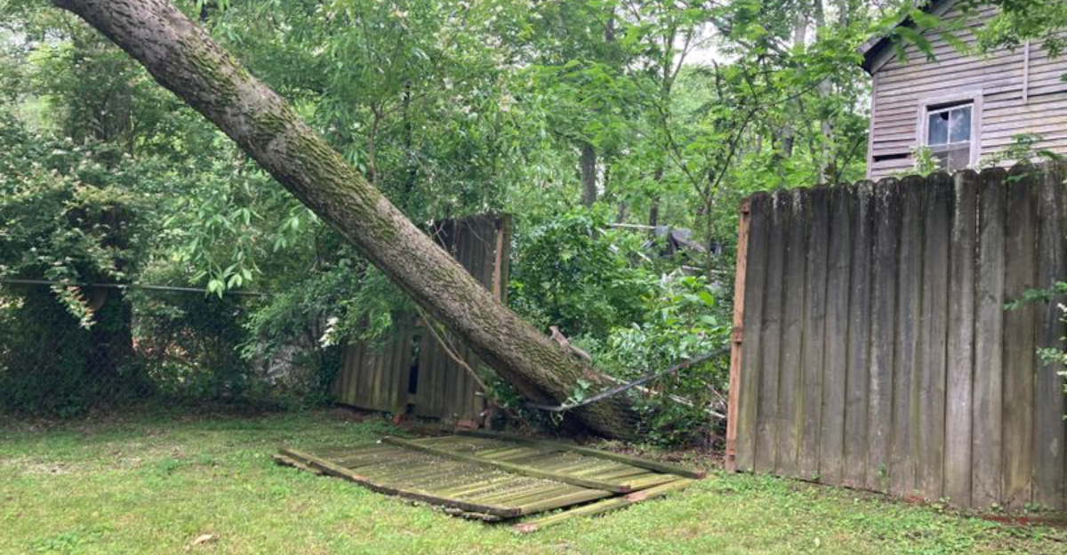Who Pays When A Neighbor’s Tree Falls On Your Fence In New York