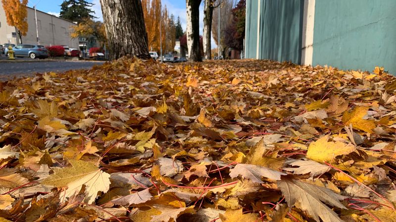 Property Law Generally Favors The Property Owner