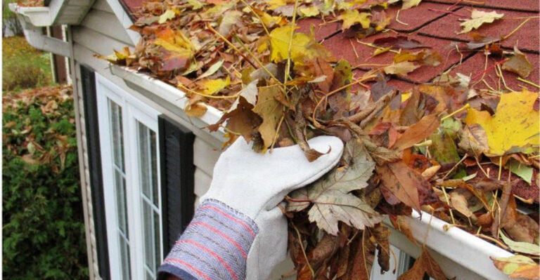 homeowner cleans leaves from gutter