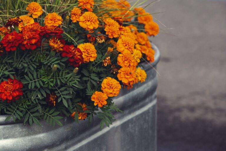 raised flower planter