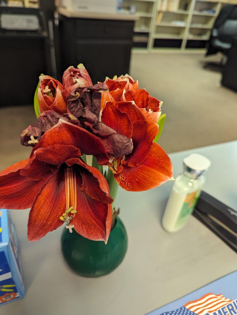 Insufficient Natural Light Exposure