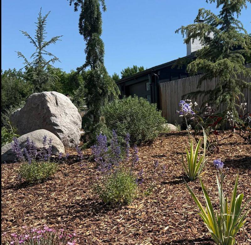Xeriscaping Slashes Outdoor Water Use

