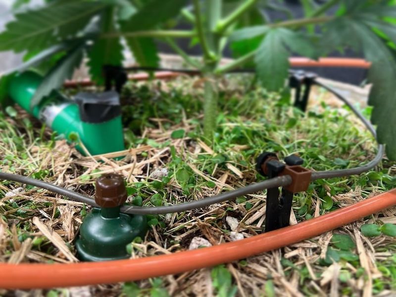 Water Conservation Makes Perfect Sense