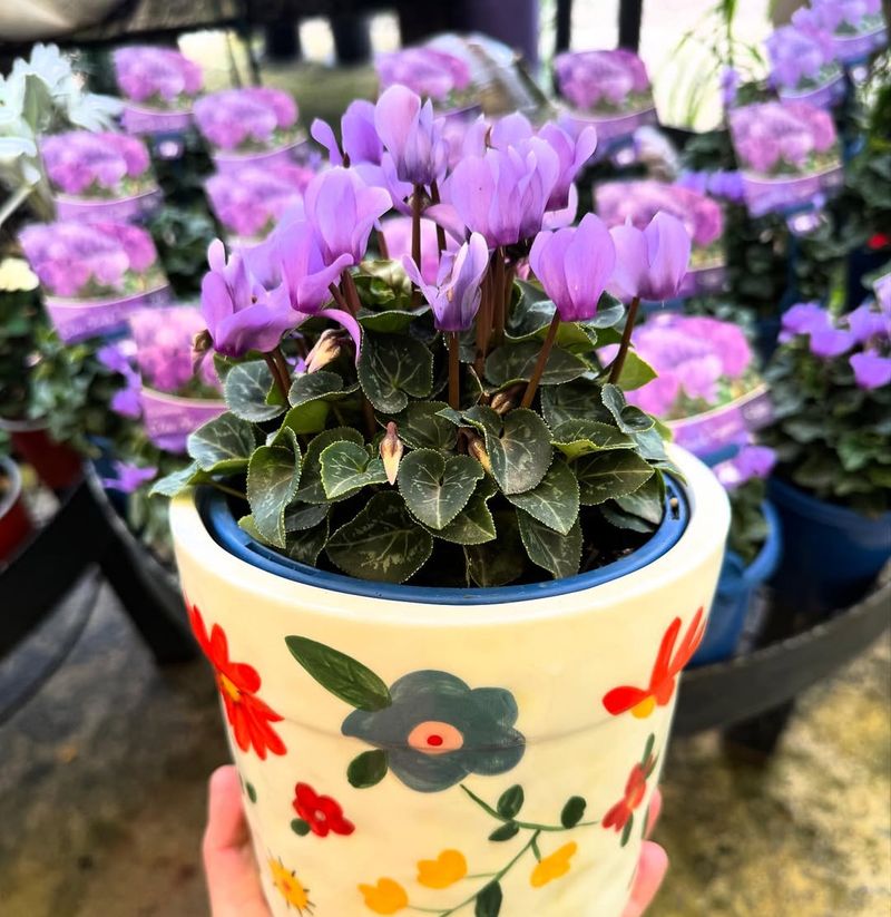 Managing Indoor Heat And Dry Air