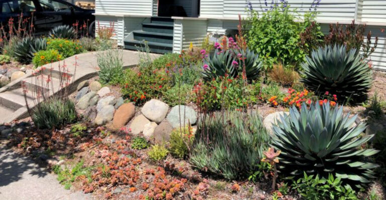 native garden in California