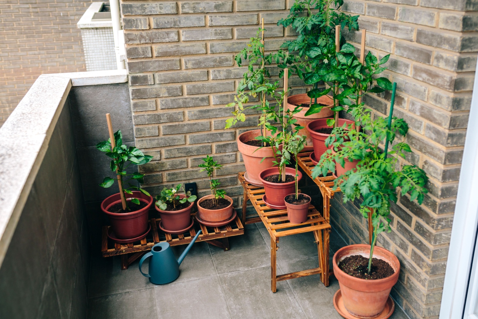 Why California Millennials Prefer Compact Gardening Over Traditional Yards