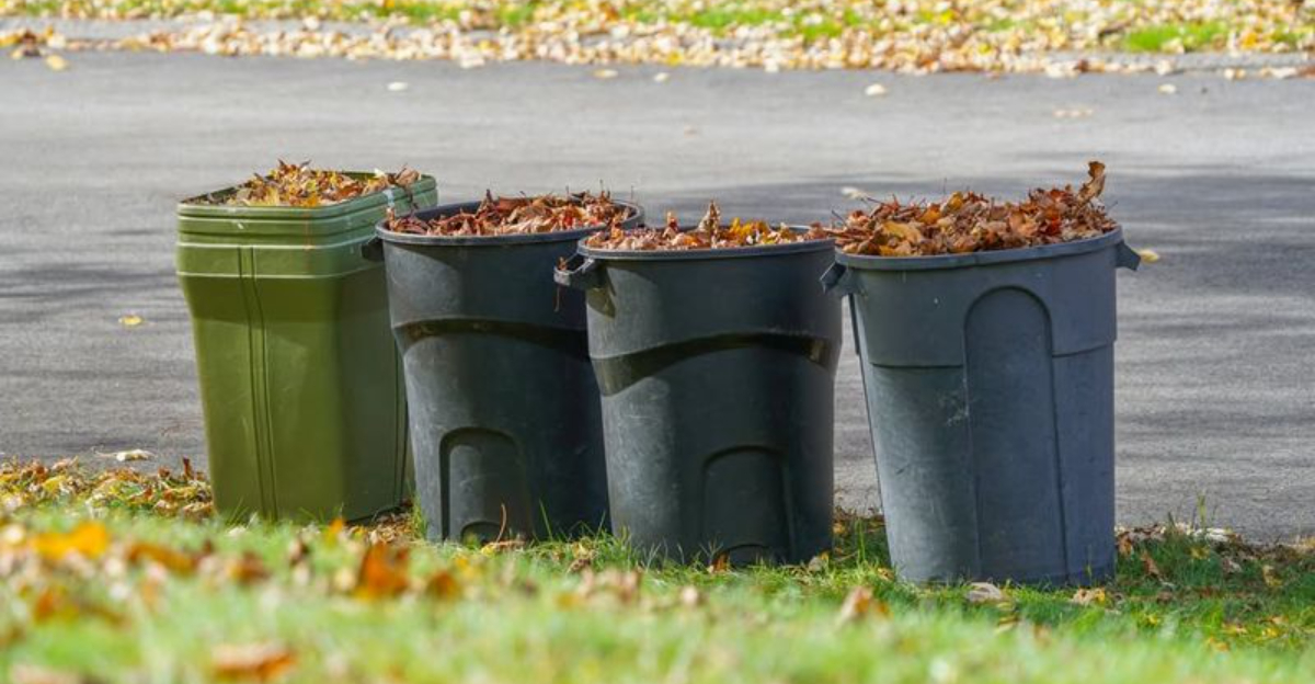 yard waste collection