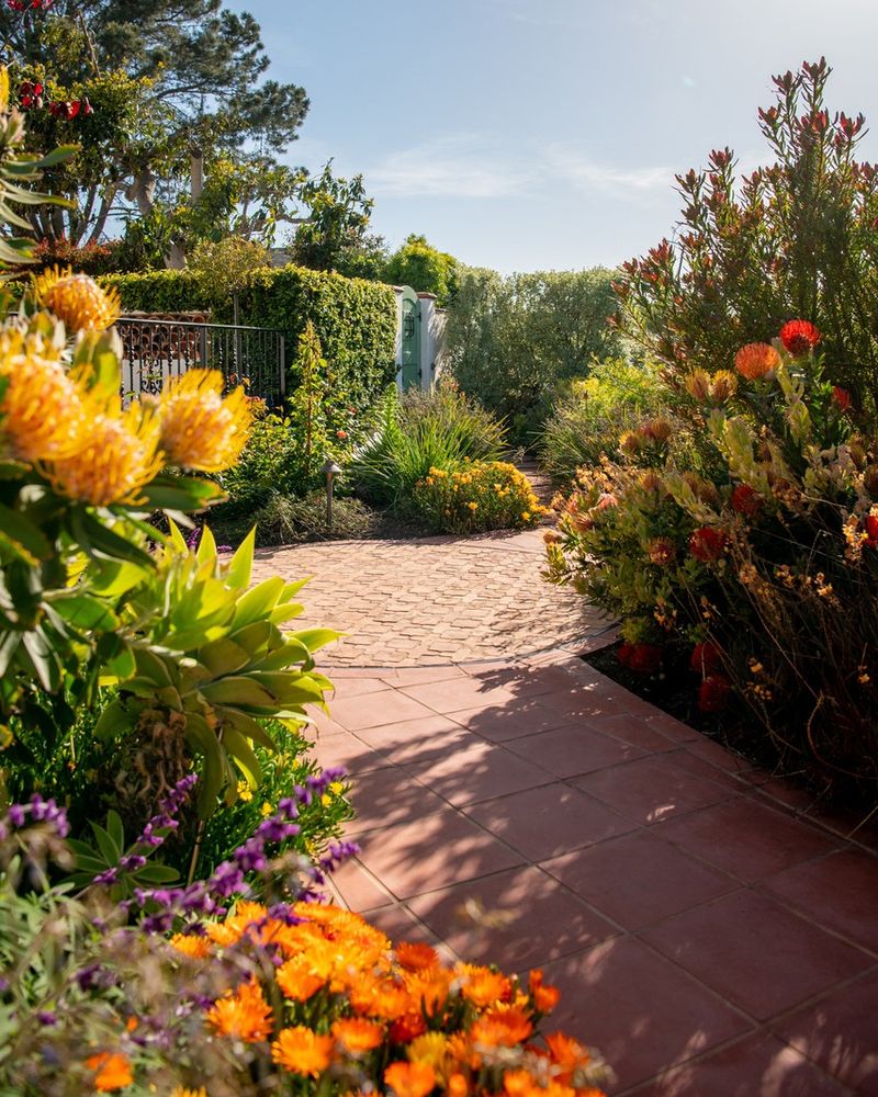 Fresh Air And Sunshine Boost Mood Naturally