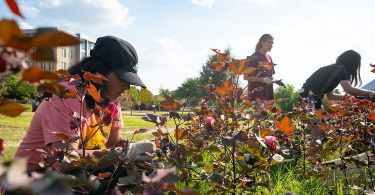 Why California Residents Are Finding Stress Relief Through Gardening This Winter