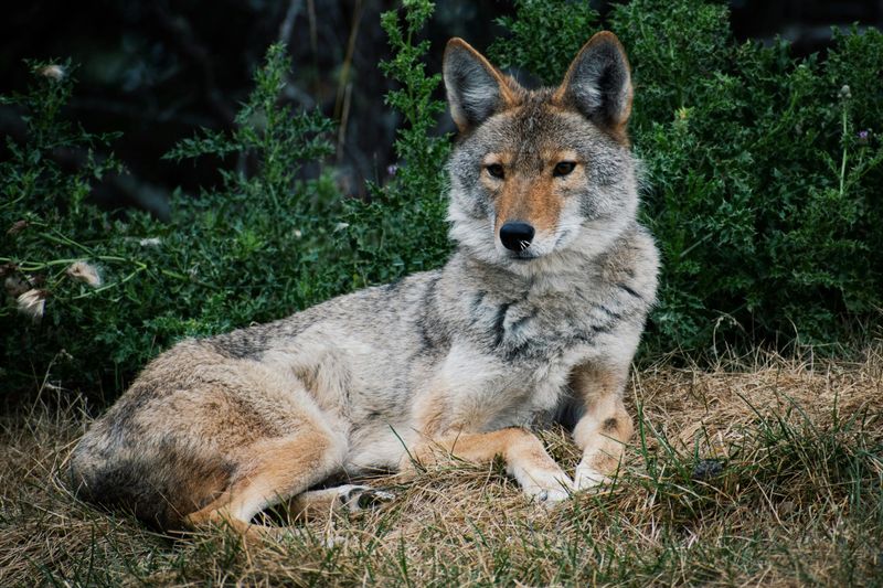 When A One Time Visit Becomes A Pattern