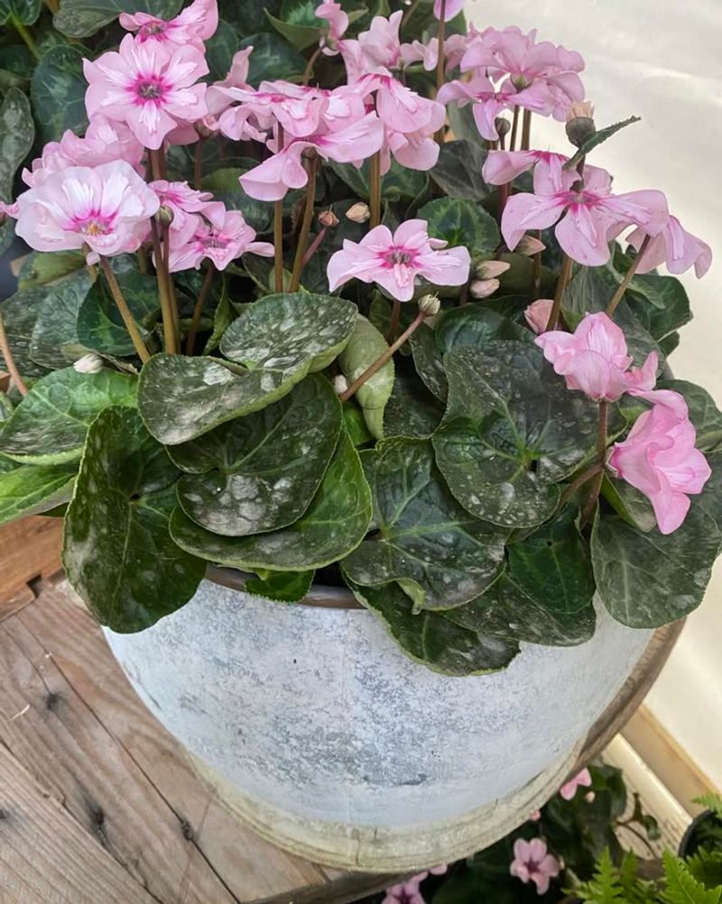 Choosing The Right Spot During Winter