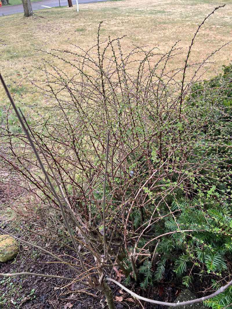 Removal Is Harder Than You Think