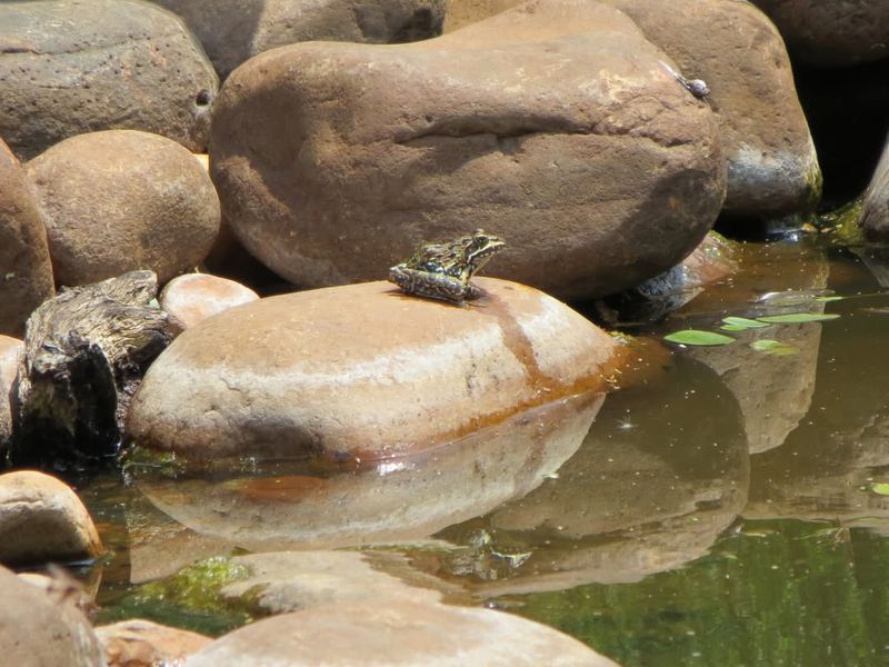 They Need Clean Water To Survive