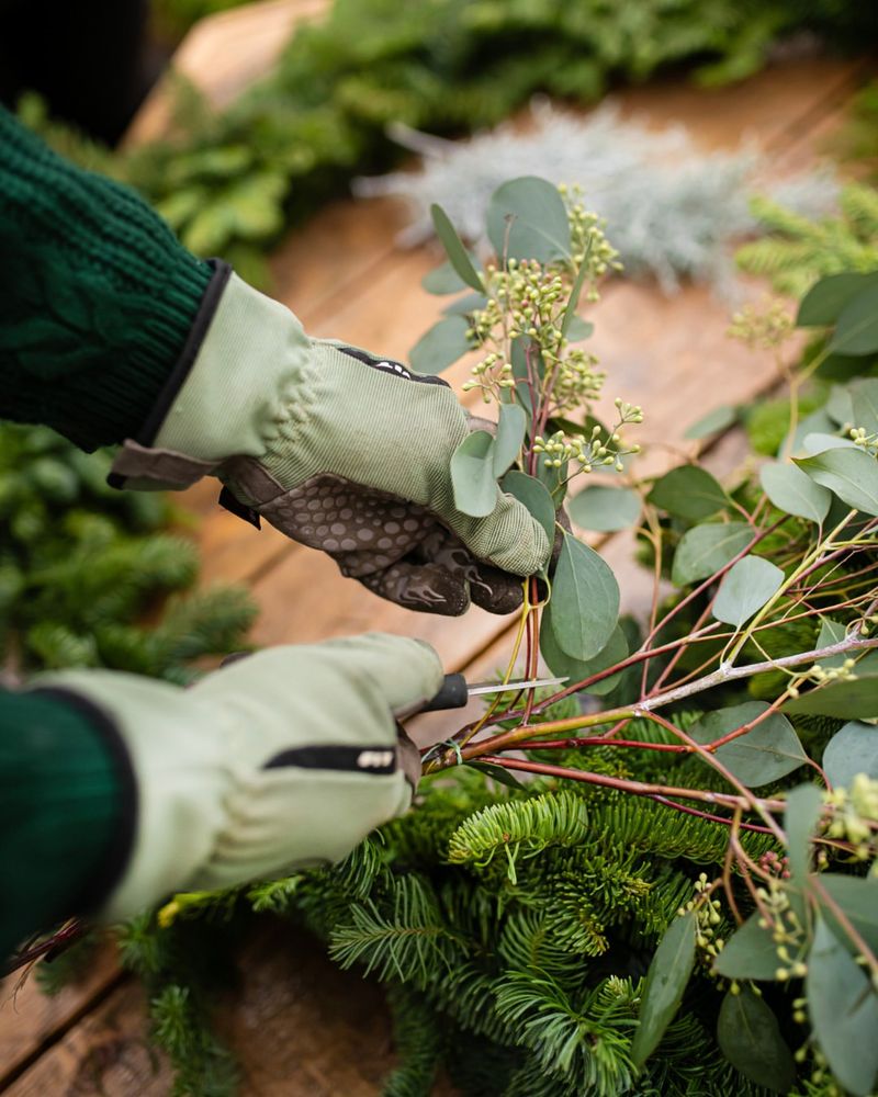 Natural Greenery Brings Authentic Holiday Fragrance