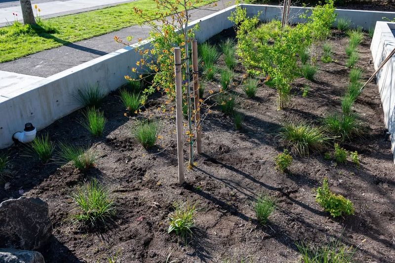 Water Conservation Is Critical