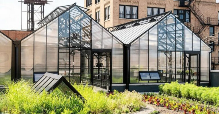 green roof (featured image)