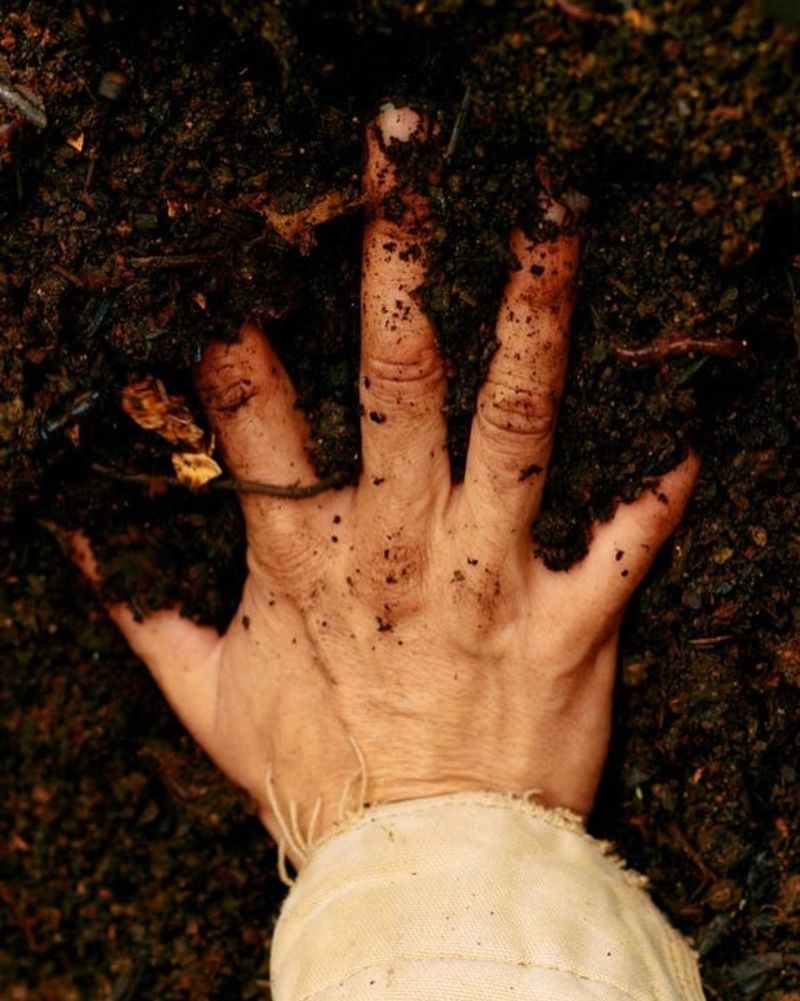 The Simple Winter Mulch Rule Most Minnesota Gardeners Forget