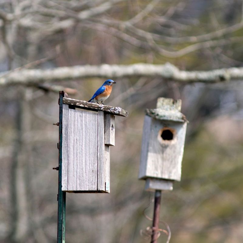 Choosing The Right Location For Maximum Success