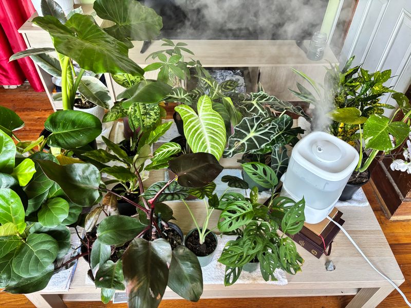 Low Humidity From Heating Systems