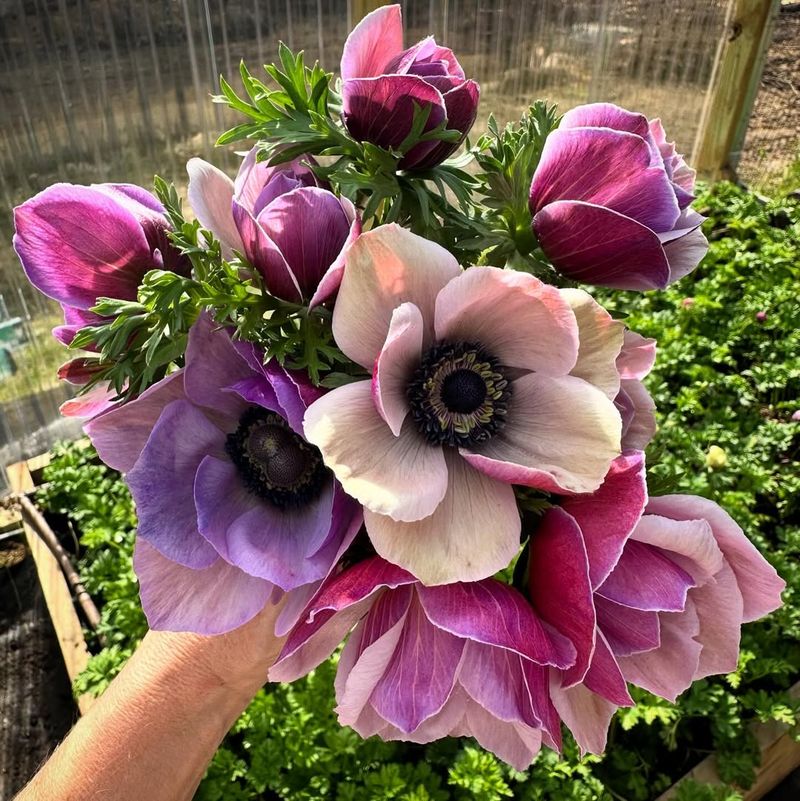 The Clean, Modern Look That Fits California Wedding Styles