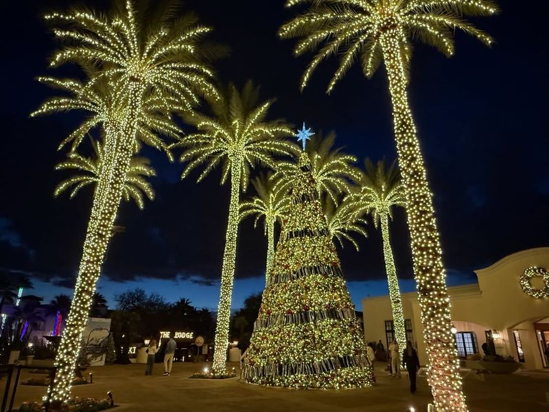 How Uplighting Makes Palm Trees Look Dramatic And Festive