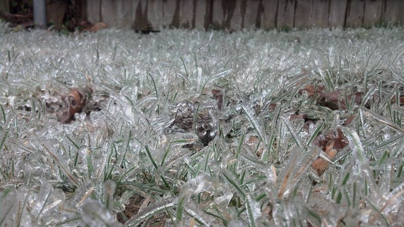 Common Winter Activities That Stress Frozen Turf