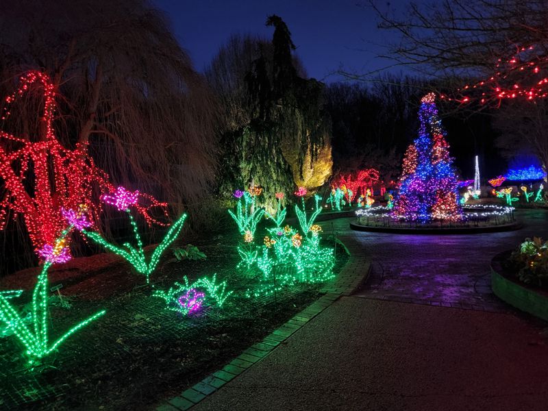 Brookside Gardens Transforms Into a Winter Wonderland