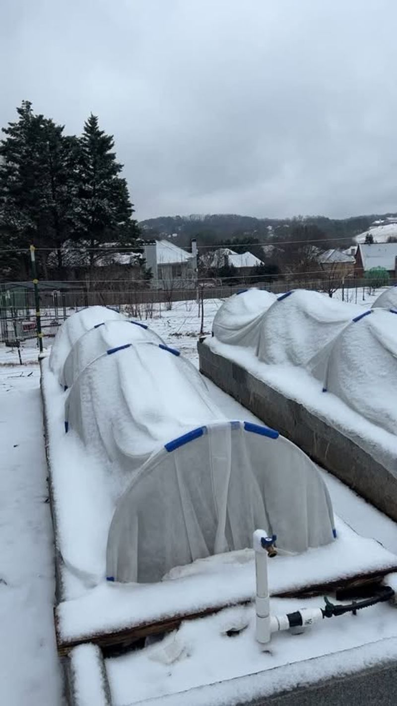 Harsh Winter Weather Makes Outdoor Gardening Impossible