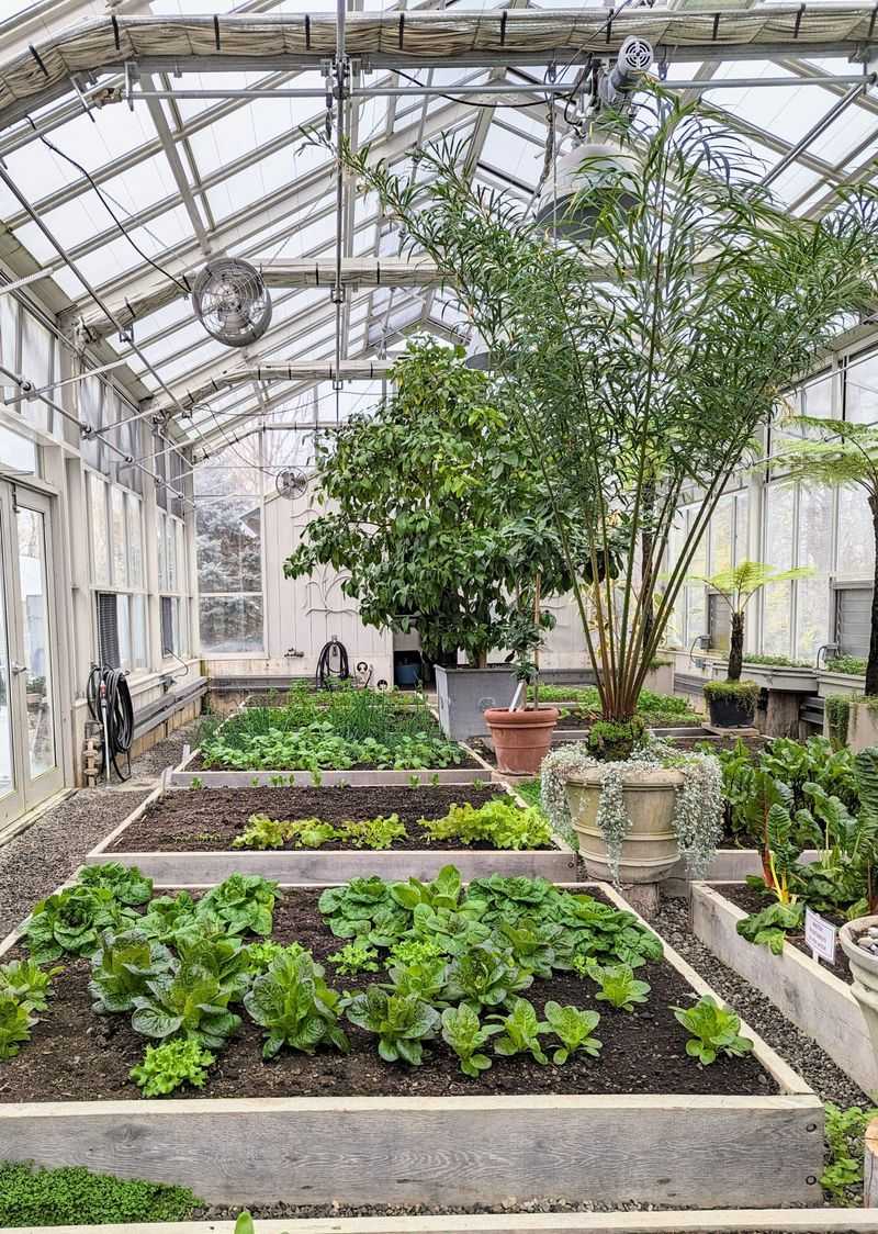 Longer Winters Are Pushing Gardeners To Extend The Growing Season