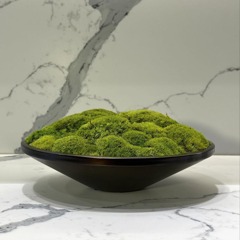 How This Green Trend Slipped Into Homes And Became A Winter Obsession