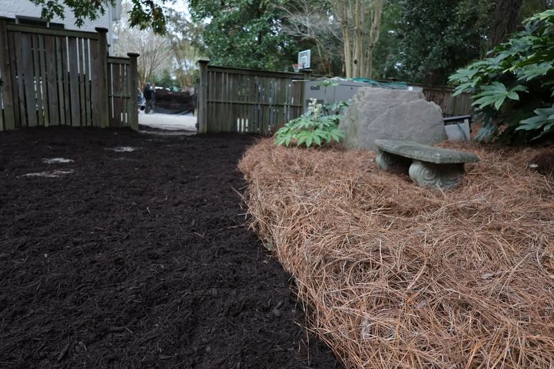 How The Right Mulch Can Slash Garden Water Needs And Lower Summer Irrigation In Tennessee Yards
