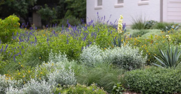 native prairie garden