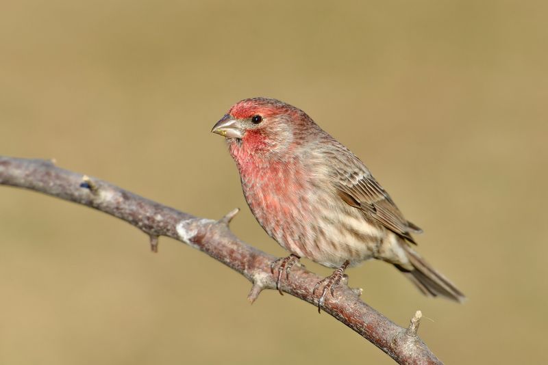 Milder Winter Temperatures In New Jersey