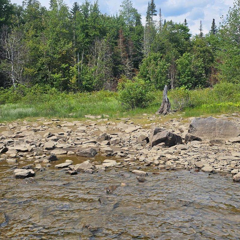 Increasing Drought And Water Scarcity