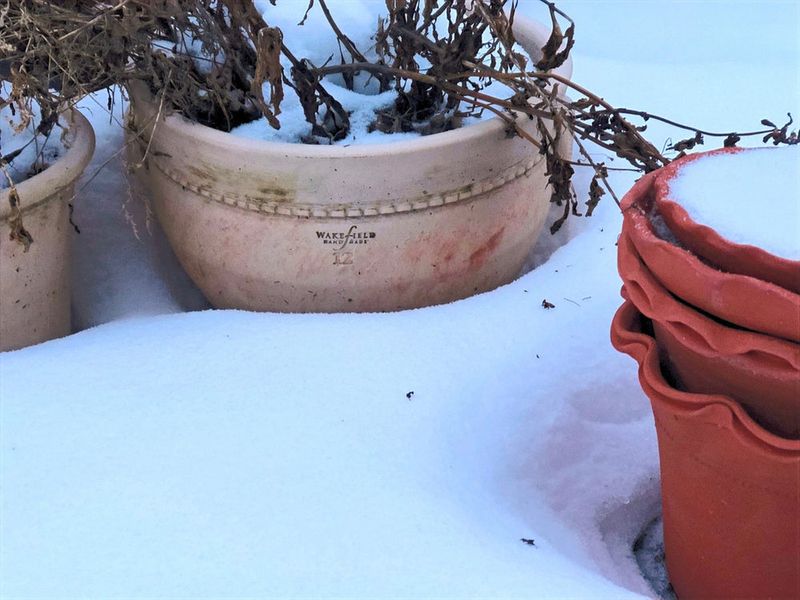 Freezing And Thawing Cycles Wreak Havoc