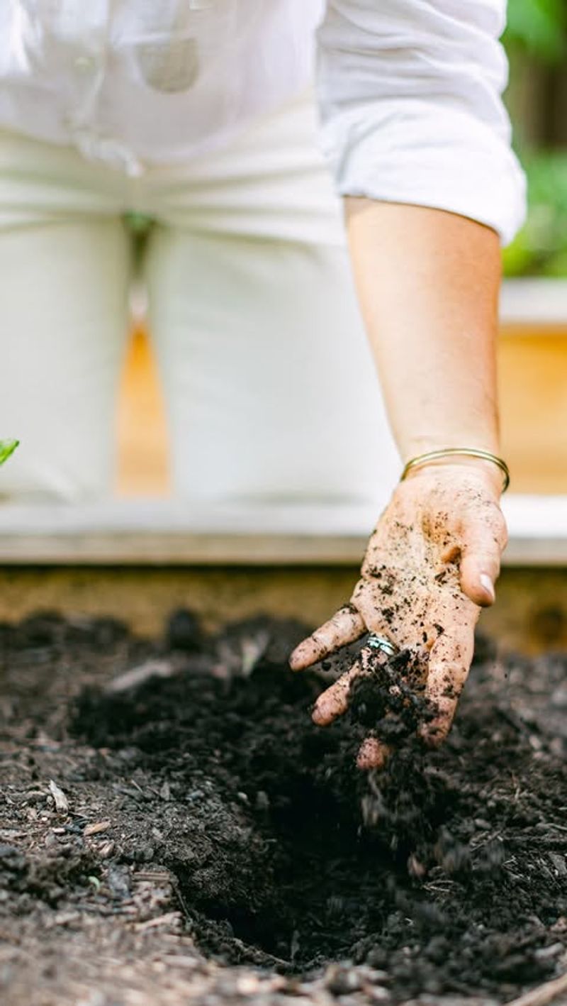 The Simple Finger Test That Tells You When To Water