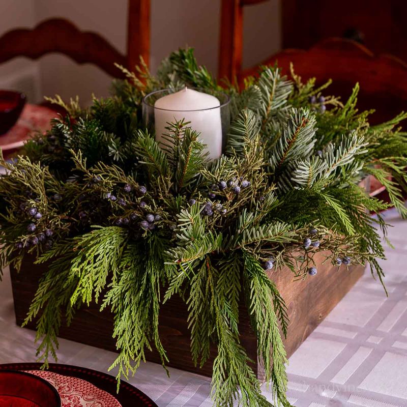 The Shrubs And Evergreens Most Commonly Used For Winter Cuttings