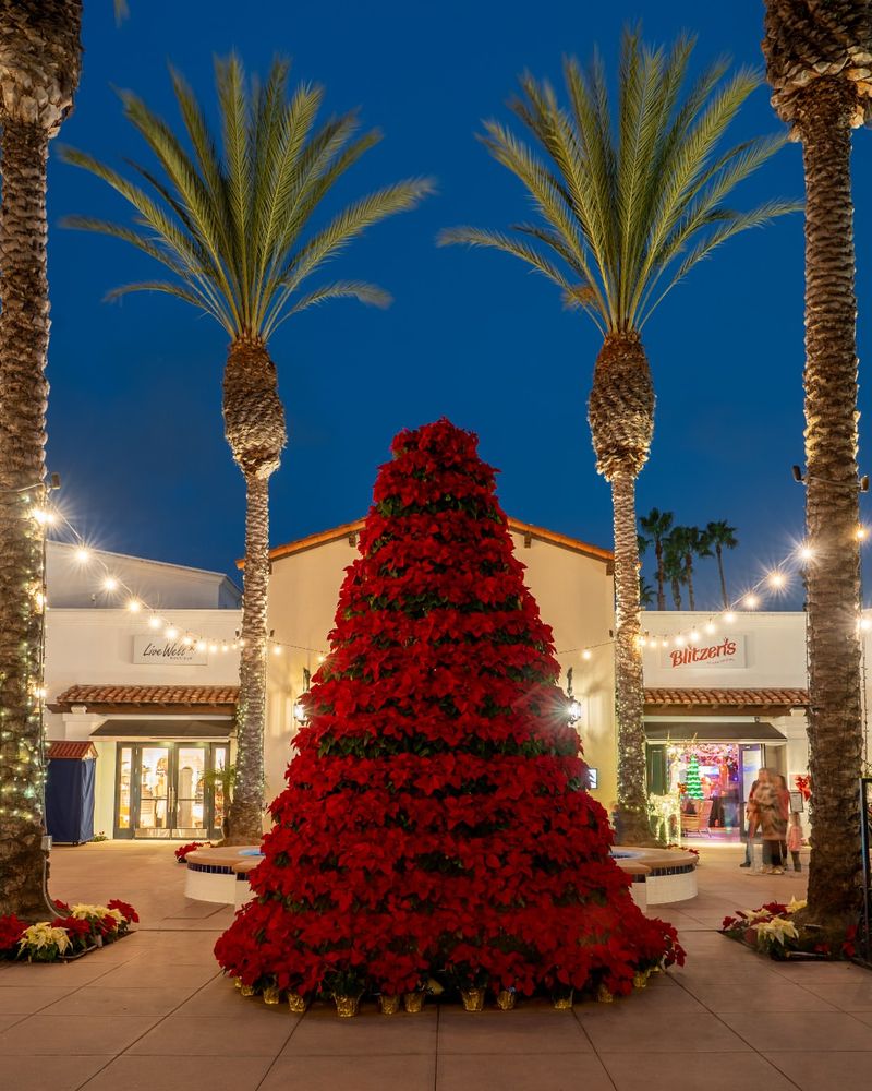 How Families Combine Palm Lighting With Yard Decor For A Full Holiday Look