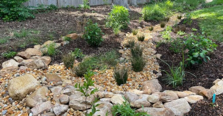 rain garden