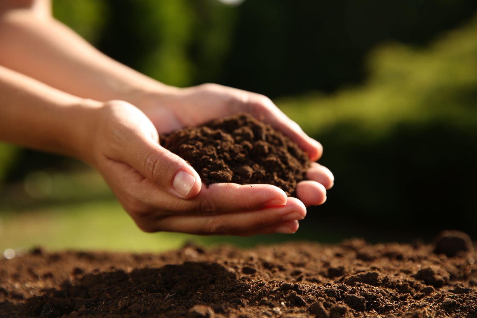 Why Soil Microbe Health Is Becoming Important For Iowa Gardeners