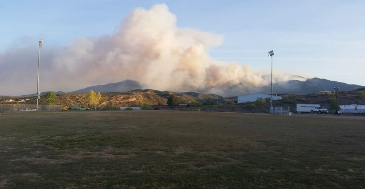 Why Some Georgia Areas Show Sudden Tree Loss When You Check Google Maps