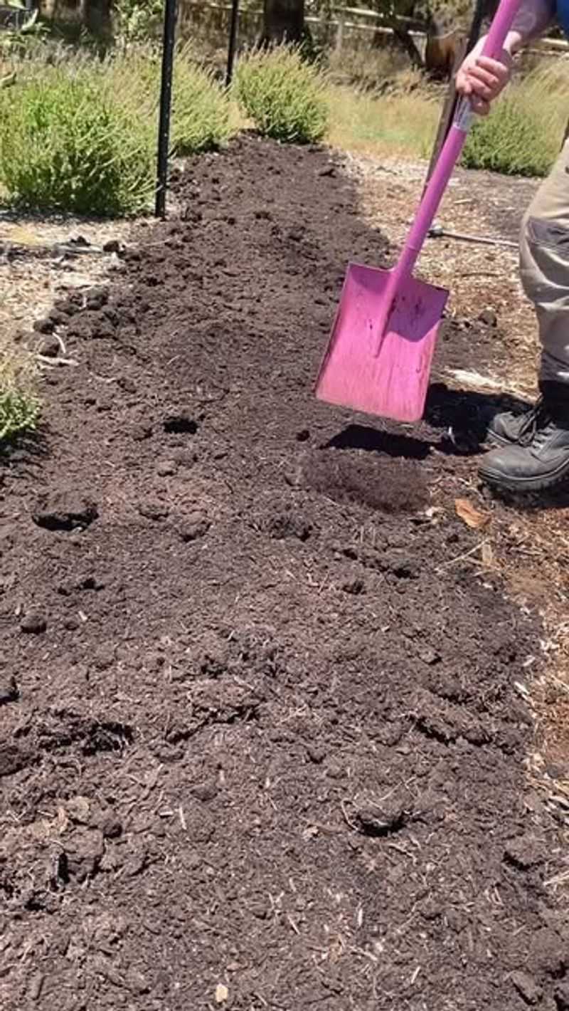 The Chemical Spill Happened Near Agricultural Areas