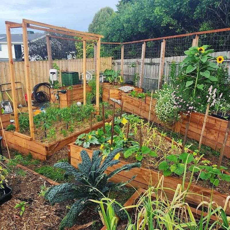 Some Vegetables Absorb Contaminants More Easily Than Others