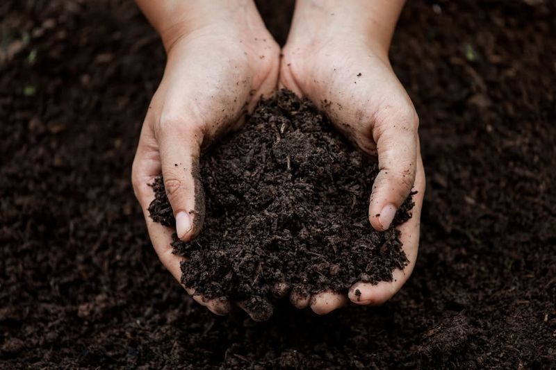 Local Resources Are Helping Residents Navigate The Situation