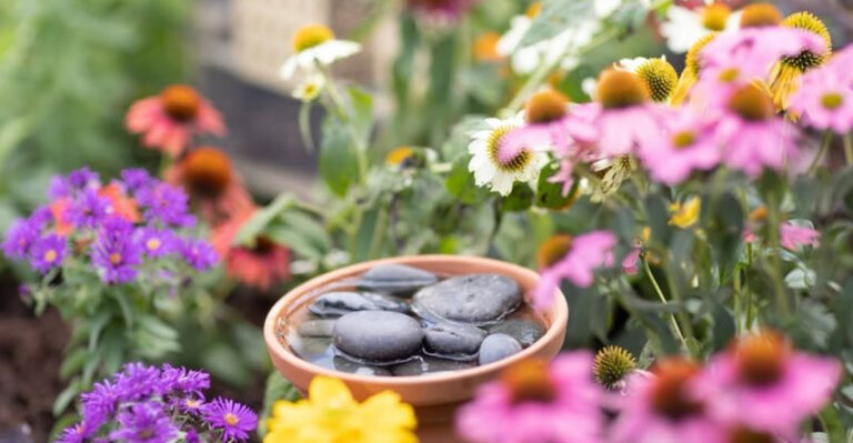 natural pollinator garden