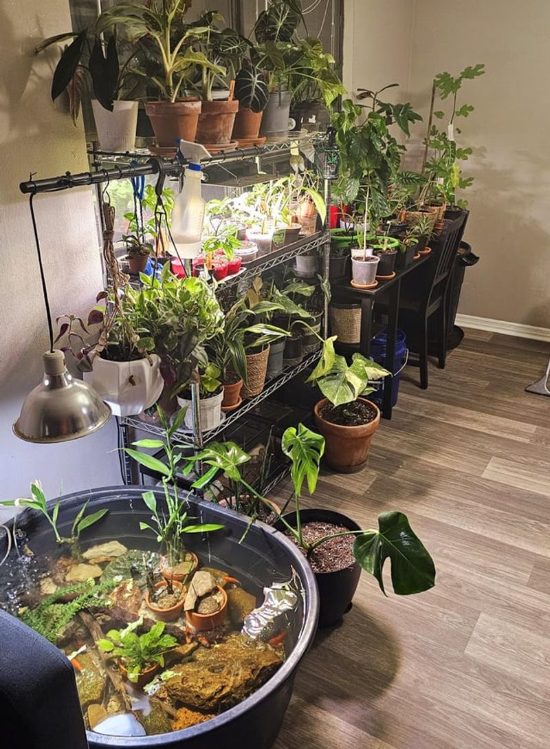 Simple Ways To Add Light Without A Greenhouse