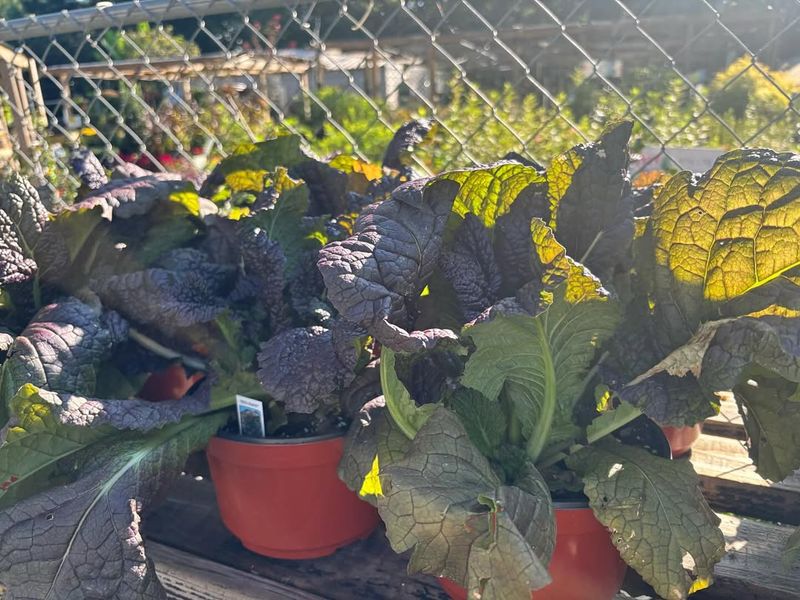 Supply Chain Delays Are Pushing Everyone to Plan Ahead