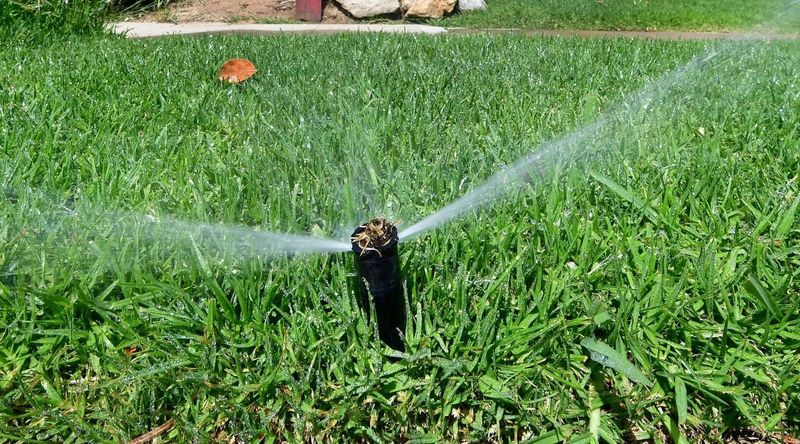 Mandatory Watering Schedules Homeowners Must Follow