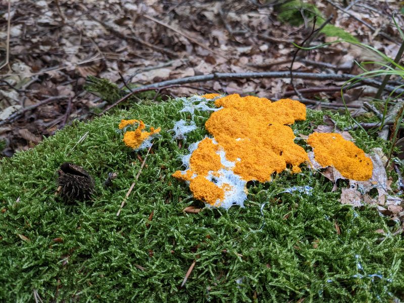 Common Misconceptions About Toxicity And Safety